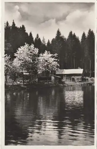 [Ansichtskarte] 8371 BAYERISCH EISENSTEIN, Schwellhäusl, Verlag Pongratz. 