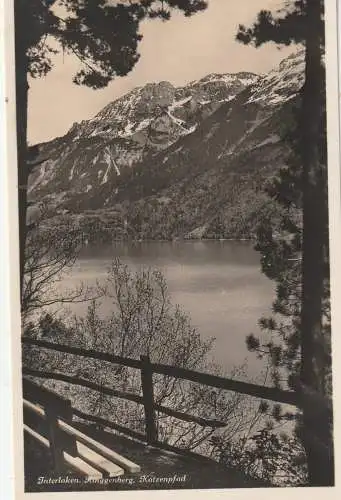 CH 3852 RINGGENBERG BE, Katzenpfad, Verlag Gabler