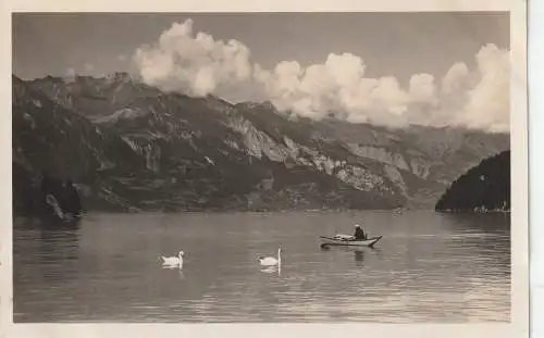 [Ansichtskarte] CH 3807 ISELTWALD BE, Brienzersee, Verlag Schild - Bichsel. 