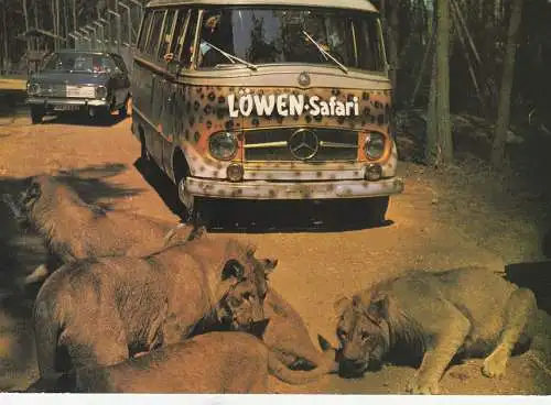 5135 SELFKANT - TÜDDERN, Safariland