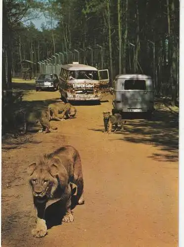 5135 SELFKANT - TÜDDERN, Safariland