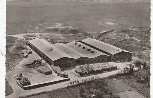 [Ansichtskarte] 5353 MECHERNICH - GEHN, Gehner Ziegelwerk, Luftaufnahme. 