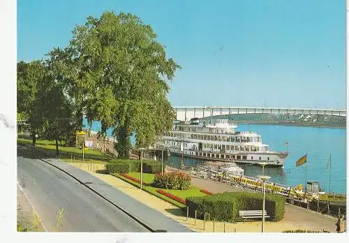 [Ansichtskarte] BINNENSCHIFFE - RHEIN, Köln - Düsseldorfer "DRACHENFELS" am Bonner Anleger. 