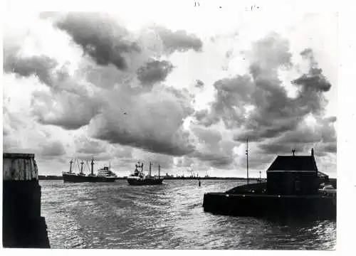 ZUID-HOLLAND - MAASSLUIS, Licht en donker op rivier, frachtschiffe