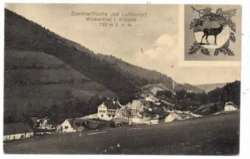 0-9405 EIBENSTOCK - WILDENTHAL, Blick auf den Ort, 1907