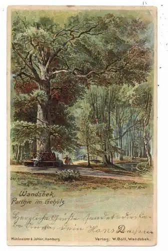 [Ansichtskarte] 2000 HAMBURG - WANDSBEK, Partie im Gehölz, 1902. 