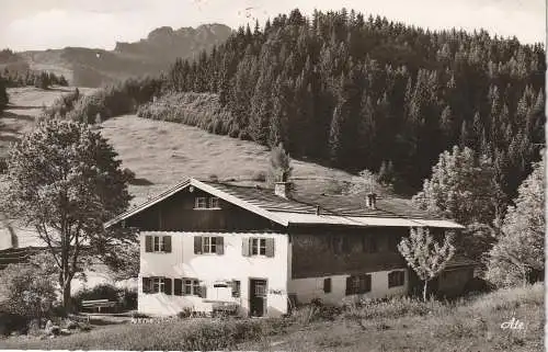 [Ansichtskarte] A 6991 JUNGHOLZ / Tirol, Haus Vitzthum, 1963. 