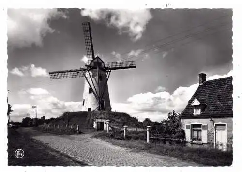 [Ansichtskarte] B 8340 DAMME, De Molen / Mill / Windmühle / Moulin. 