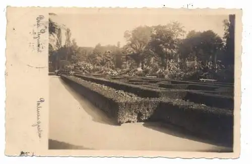 [Ansichtskarte] 3280 BAD PYRMONT, Palmengarten, 1927, Photo-AK. 