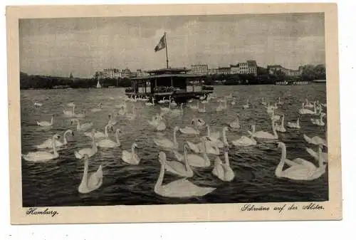 [Ansichtskarte] 2000 HAMBURG, Schwäne auf der Alster. 