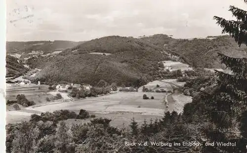 [Ansichtskarte] 5455 RENGSDORF - WALDBREITBACH, Blick von der Walburg, 1963. 