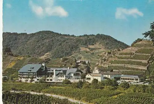 [Ansichtskarte] 5486 ALTENAHR - MAYSCHOSS, Hotel - Weinhaus Lochmühle. 