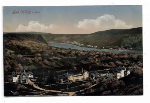 [Ansichtskarte] 5407 BOPPARD - BAD SALZIG, Blick auf den Ort. 