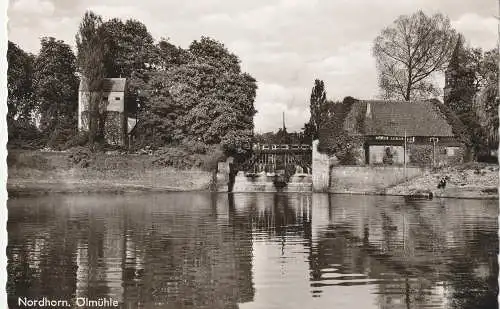 [Ansichtskarte] 4460 NORDHORN, Ölmühle, 1962. 