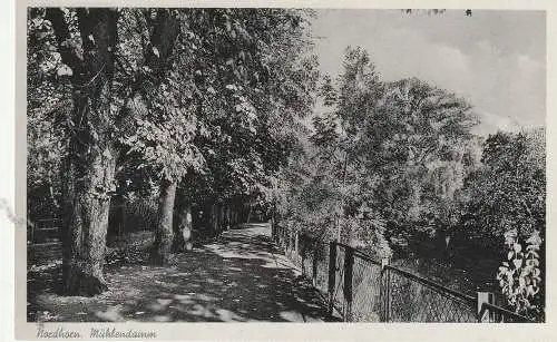 [Ansichtskarte] 4460 NORDHORN, Mühlendamm, 1955. 