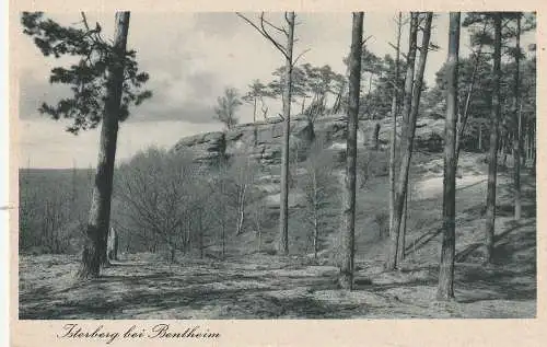 4443 SCHÜTTORF - ISTERBERG, Naturdenkmal Isterberg