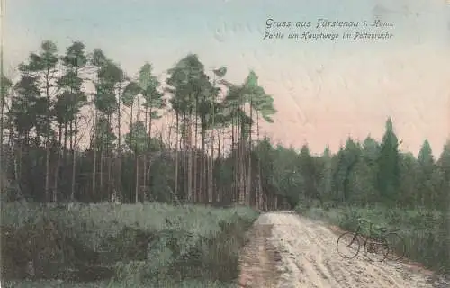 4557 FÜRSTENAU, Pattebruch, Hauptweg, 1907, Bahnpost Warburg - Emden