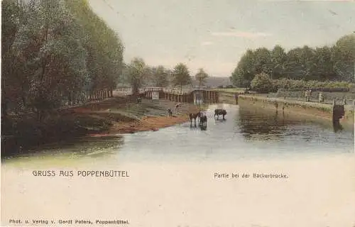 [Ansichtskarte] 2000 HAMBURG - POPPENBÜTTEL, An der Bäckerbrücke, weidenden Kühe, ca. 1905, handcoloriert, Verlag Peters. 