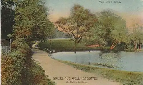 [Ansichtskarte] 2000 HAMBURG - WELLINGSBÜTTEL, Alsterpartie im Gehölz, Verlag Peters. 