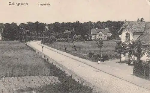 [Ansichtskarte] 2000 HAMBURG - WELLINGSBÜTTEL, Alsterpartie im Gehölz, Verlag Peters. 