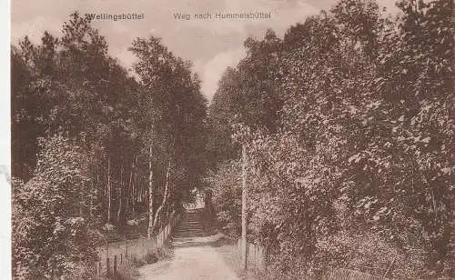 [Ansichtskarte] 2000 HAMBURG - WELLINGSBÜTTEL, Weg nach Hummelsbüttel, 1929, Verlag Ehmling. 