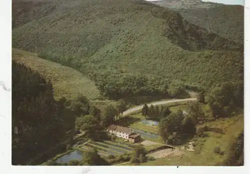 5401 BURGEN, Baybachforellenzucht "Wolf", Hotel - Restaurant - Pension, Luftaufnahme