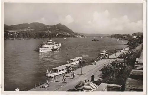 [Ansichtskarte] 5300 BONN - BAD GODESBERG, Rheinufer, KD - Dampfer, 50er Jahre. 