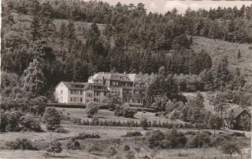 [Ansichtskarte] 5249 HAMM / Sieg - PRACHT, Hohegrete, 1963. 