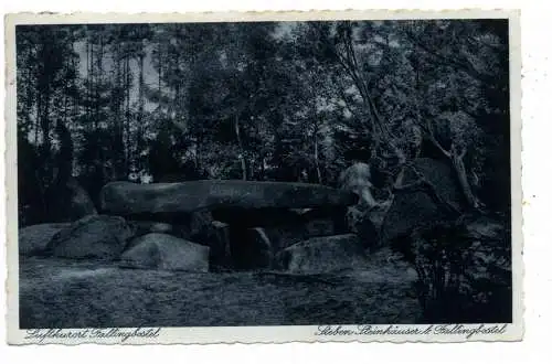 HÜNENGRAB / DOLMEN / MENHIRE - Fallingbostel, Sieben Steinhäuser, 1933