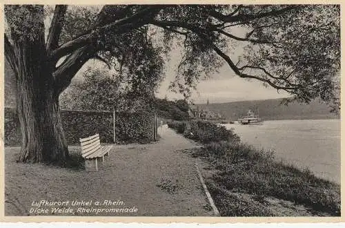 [Ansichtskarte] 5463 UNKEL, Dicke Weide, Rheinpromenade, KD - Dampfer, Verlag Westhofen & Hecker. 
