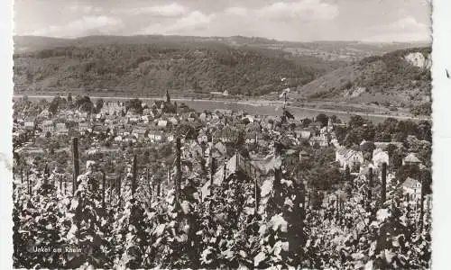 [Ansichtskarte] 5463 UNKEL, Blick aus den Weinbergen, 1955. 