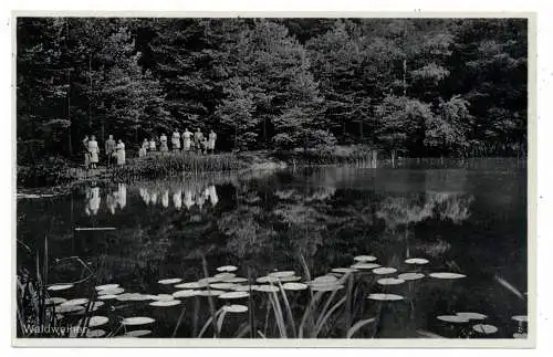 [Ansichtskarte] 5455 RENGSDORF - HAUSEN, Waldweiher. 