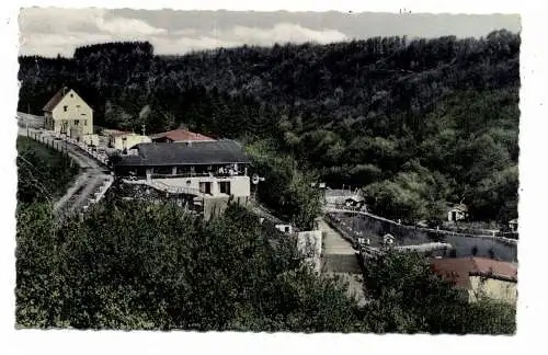 [Ansichtskarte] 5240 BETZDORF - ERKENROTH, Märchenwald. 