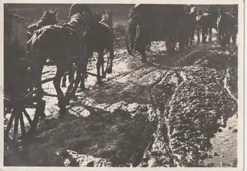 [Ansichtskarte] MILITÄR - 2. WELTKRIEG , Schleswig-Holsteinische Infanterie Division bei Ilmensee / Russland, Verlag Hoffmann. 