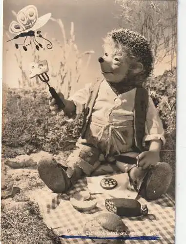 [Ansichtskarte] IGEL - MECKI, "Komm zu mir und sei mein Gast". 