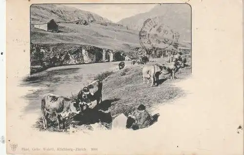 LANDWIRTSCHAFT - Kuhherde mit jungem Hirten, 1910, Schweiz, Bahnpost - Ambulant
