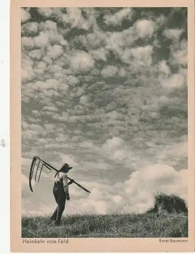 LANDWIRTSCHAFT - Schnitter, "Heimkehr vom Feld", 1951