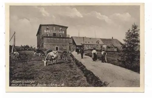 [Ansichtskarte] NIEDER - SCHLESIEN - SCHREIBERHAU / SZKLARSKA POREBA, Neue Schlesische Baude, Verlag Höckendorf. 