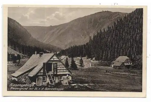 [Ansichtskarte] BÖHMEN & MÄHREN - PETZER / PEC POD SNEZKOU, Riesengrund, Blick zur Schneekoppe, Verlag Höckendorf. 