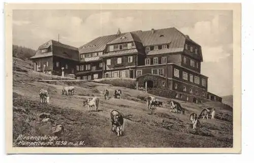 [Ansichtskarte] NIEDER  SCHLESIEN - KRUMMHÜBEL / KARPACZ, Hampelbaude, Verlag Höckendorf. 