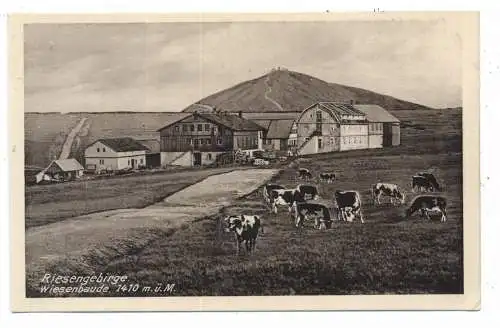 BÖHMEN & MÄHREN -  PETZER / PEC POD SNEZKOU, Wiesenbaude, Verlag Höckendorf