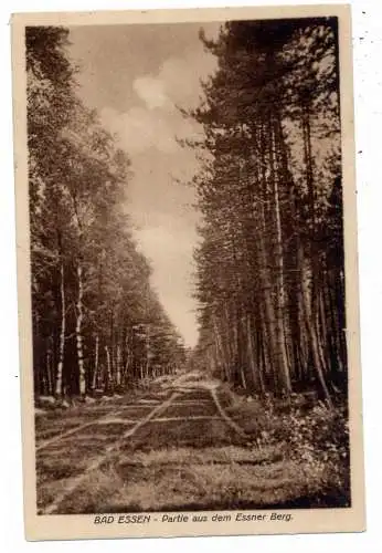 [Ansichtskarte] 4515 BAD ESSEN, Partie aus den Essner Bergen, 1912. 