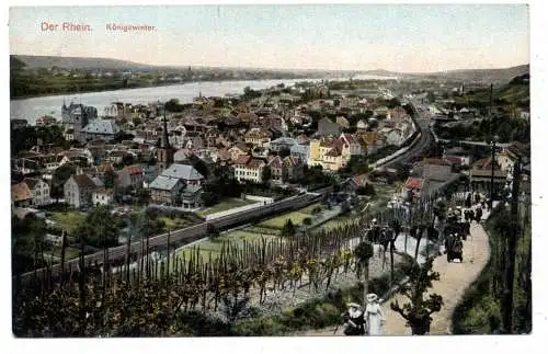 5330 KÖNIGSWINTER, Blick aus den Weinbergen / Weg zum Drachenfels, Verlag Wipperling- Elberfeld