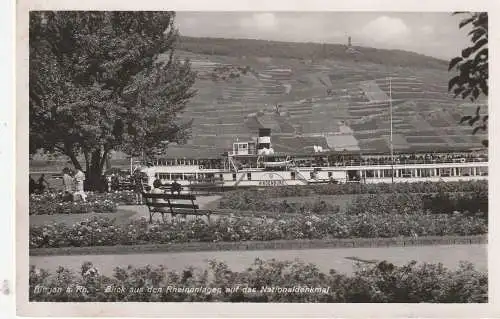[Ansichtskarte] BINNENSCHIFFE - RHEIN, KÖLN - DÜSSELDORFER "HINDENBURG" am Anleger Bingen. 