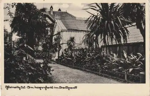 OBER - SCHLESIEN - GLEIWITZ / GLIWICE, Am Tropenhaus im Stadtpark