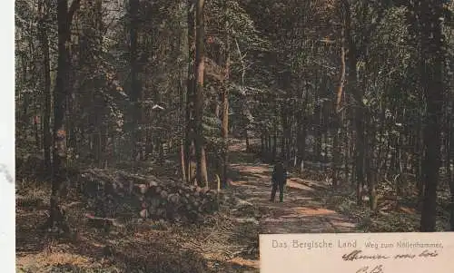 [Ansichtskarte] 5600 WUPPERTAL - CRONENBERG, Burgholz, Weg zum Nöllenhammer, 1907, Verlag Biegel. 