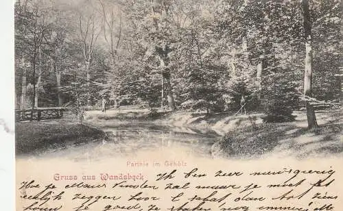 [Ansichtskarte] 2000 HAMBURG - WANDSBEK, Partie im Gehölz, 1899, Bahnpost Hamburg - Stettin. 