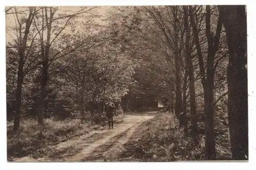 4133 NEUNKIRCHEN - VLUYN - VLUYNBUSCH, Partie im Littard - Wald, 1921