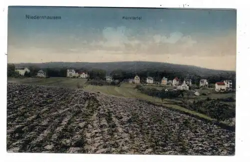 [Ansichtskarte] 6272 NIEDERNHAUSEN, Kurviertel, 1919, Verlag Wagner. 