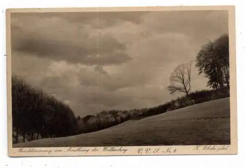 5330 KÖNIGSWINTER, Abendstimmung am Nordhang der Wolkenburg, Poststempel Obercassel, 1929